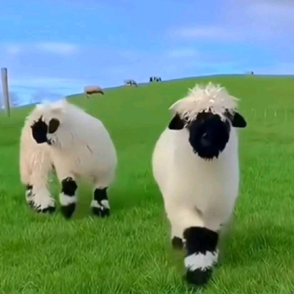 ꧁࿆ั💞梦想人生࿆꧂