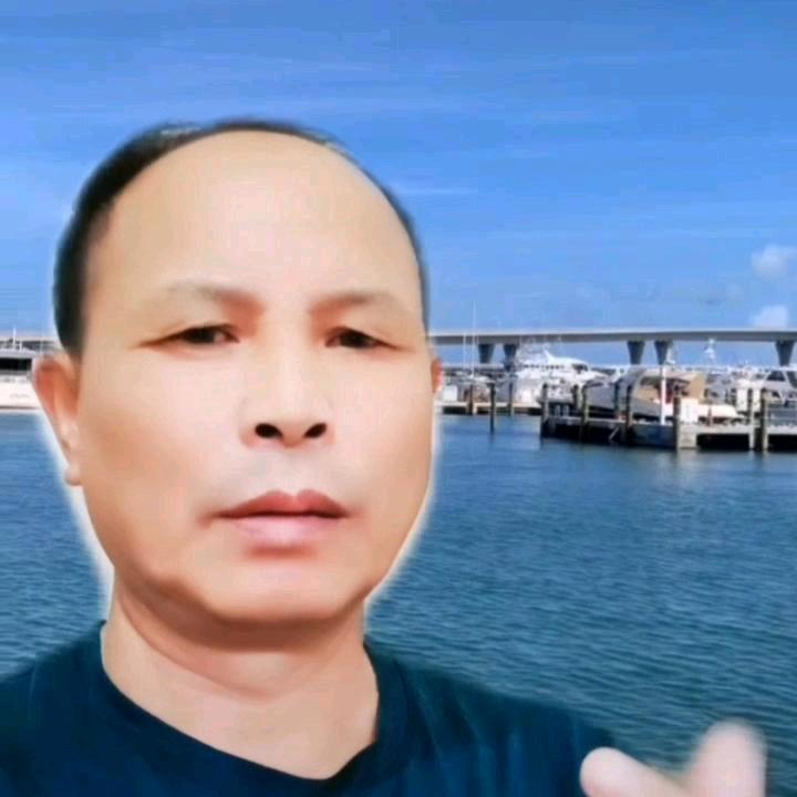 青桐老罗