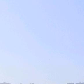 有有