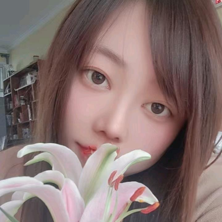 聊城凤凰工业园经开区科二科三模拟任教练