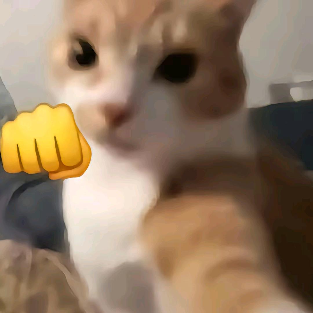 不懿飞