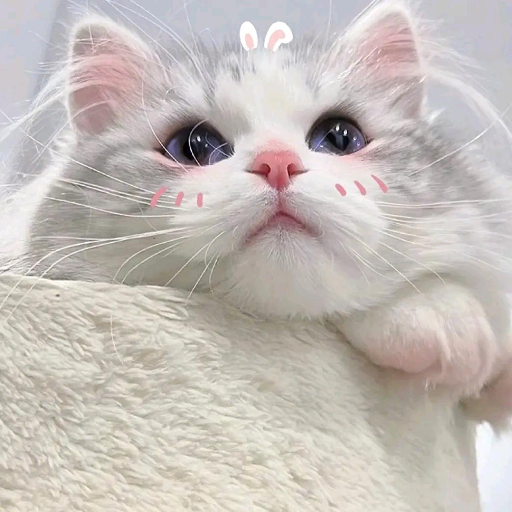 ℳঞ幸胡💖前程¹³₁₄꧔ꦿ້໌ᮨ࿐