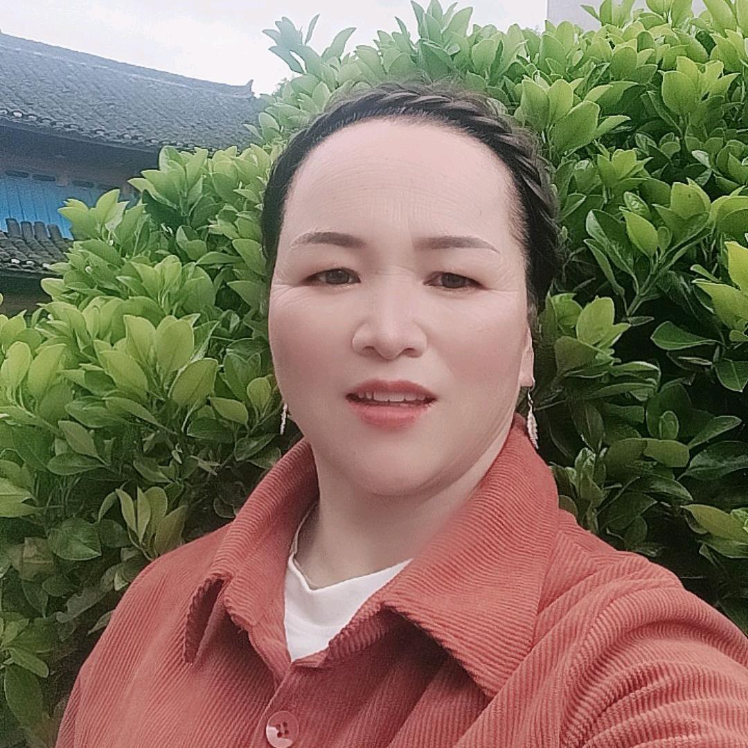 雁南飞