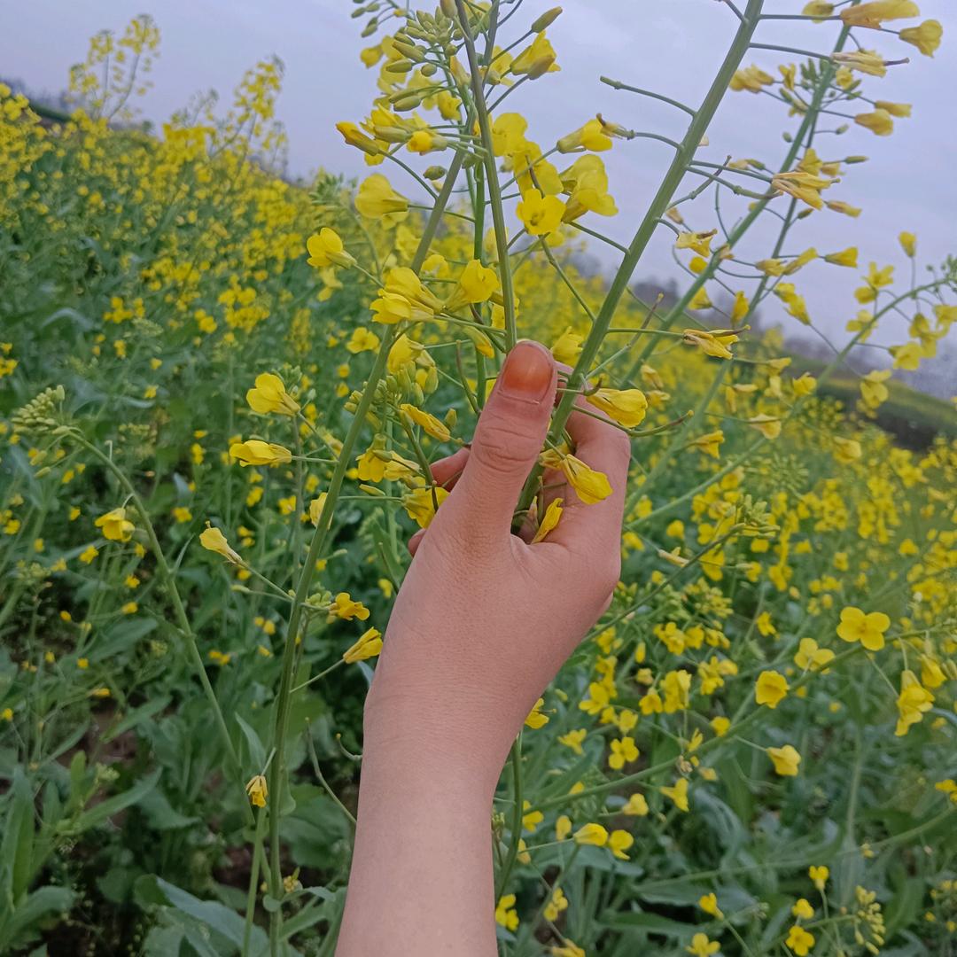 ❤️此吻💏为你留🌺❤️