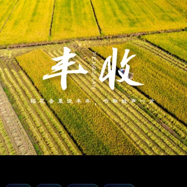 我是娇薯条头像