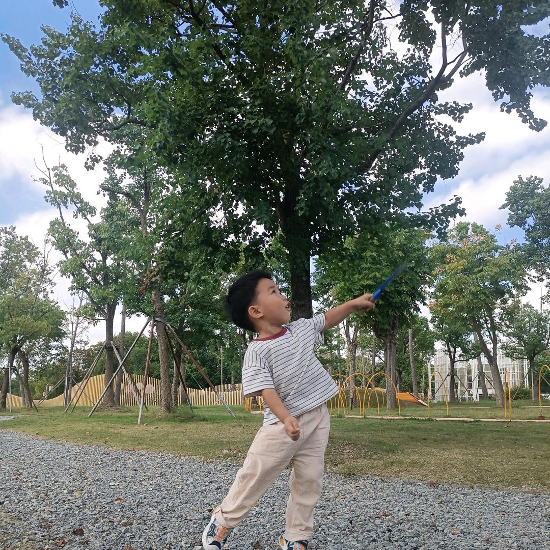 我是左撇子（奋斗中）