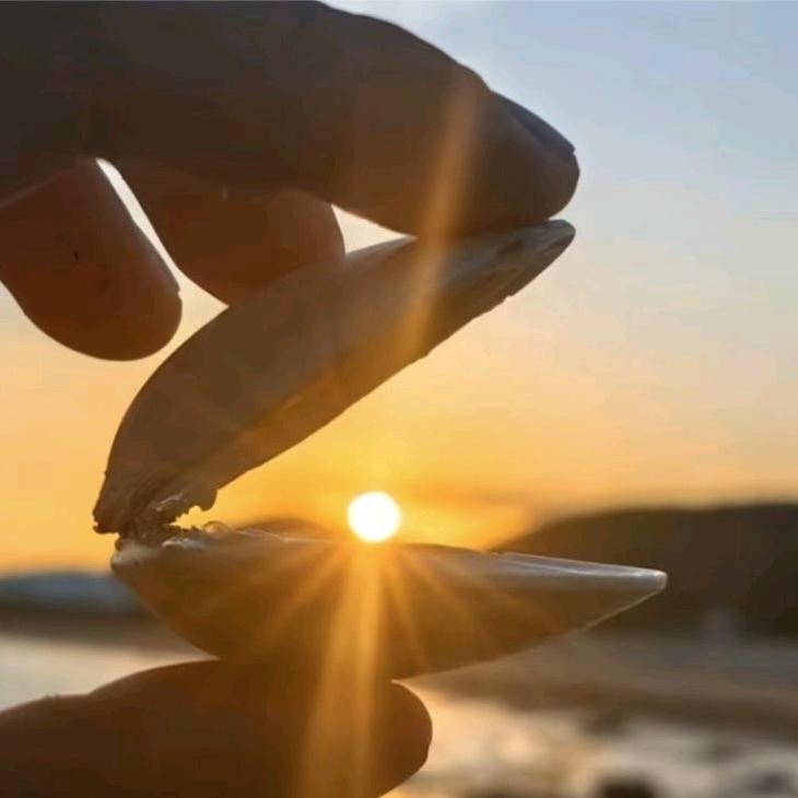 有花开就会有花落