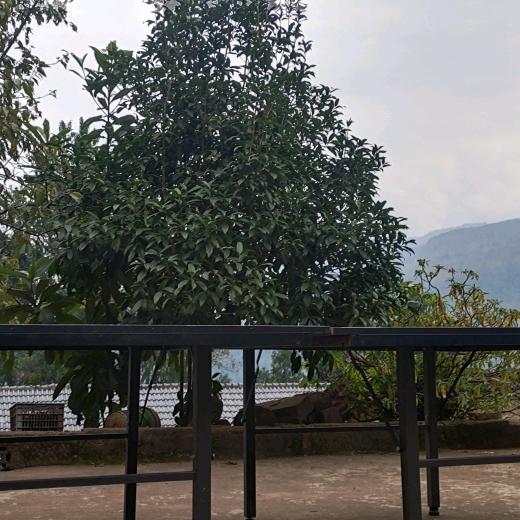 从此不再bitter,saline