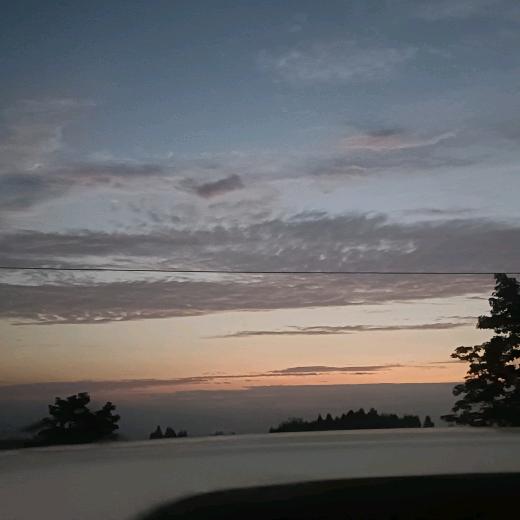 情已欠费爱已停机