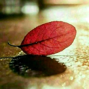 曦曦公主👸🏻