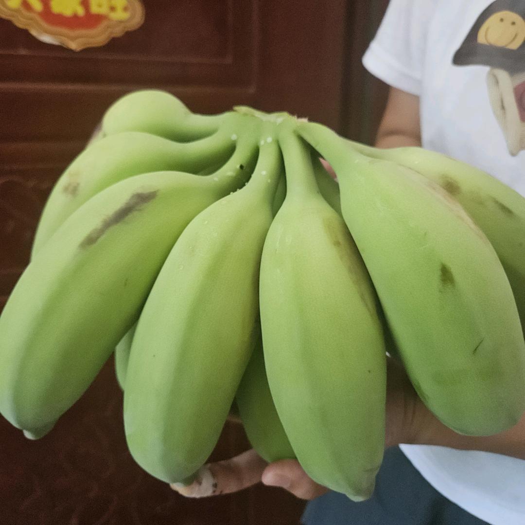 果农惠惠