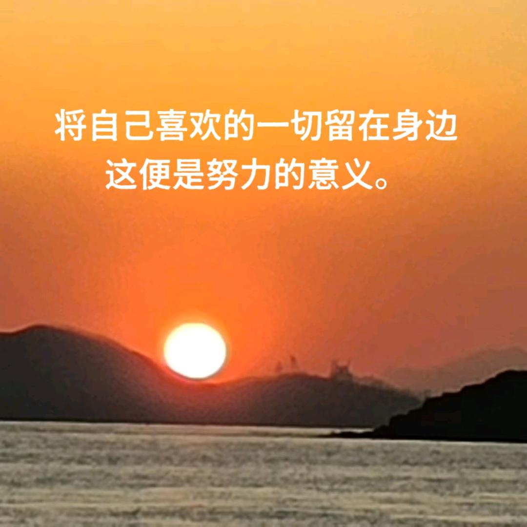 荔枝宝贝好物分享