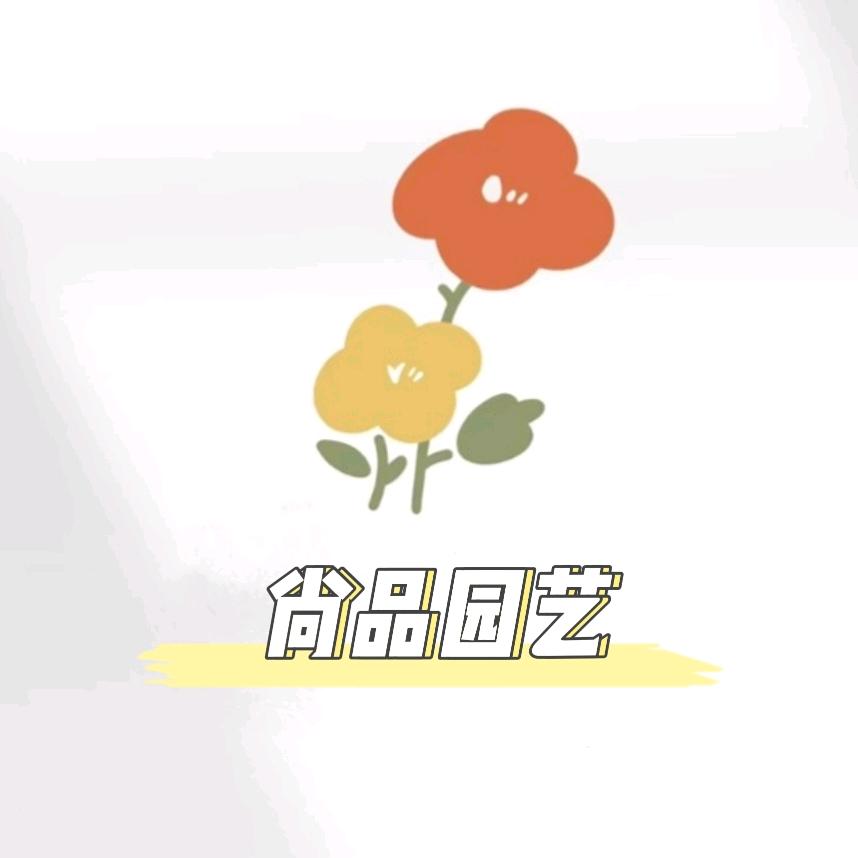30905141241