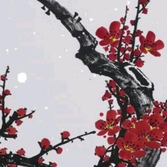 落樱❄️