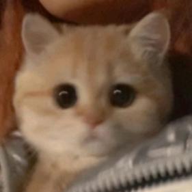 小别致东西