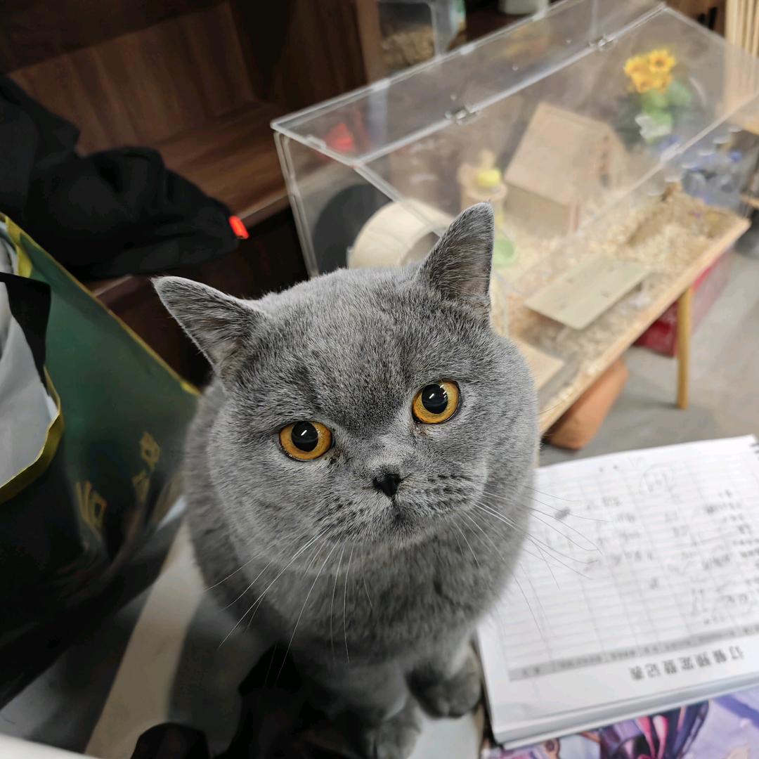 成千上