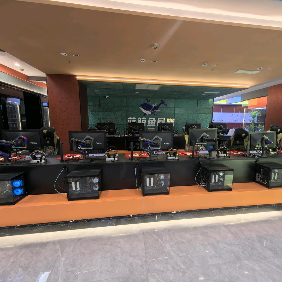 蓝鲸鱼电竞网咖-老蒋