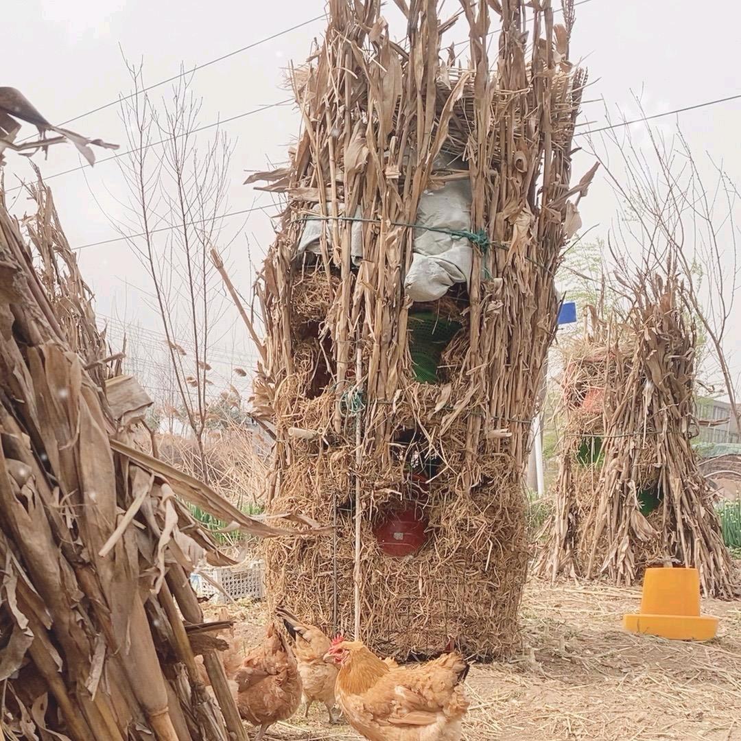 半日闲庭休闲屋1