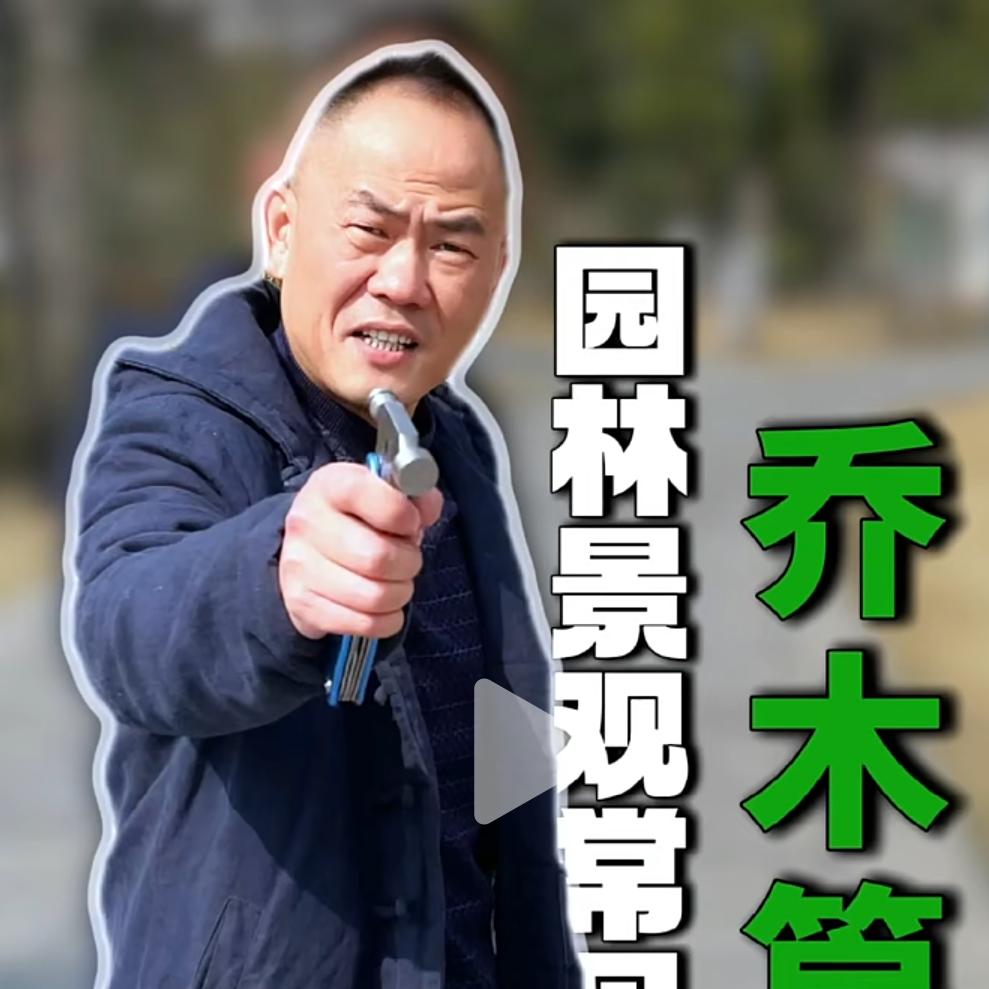 大位园林