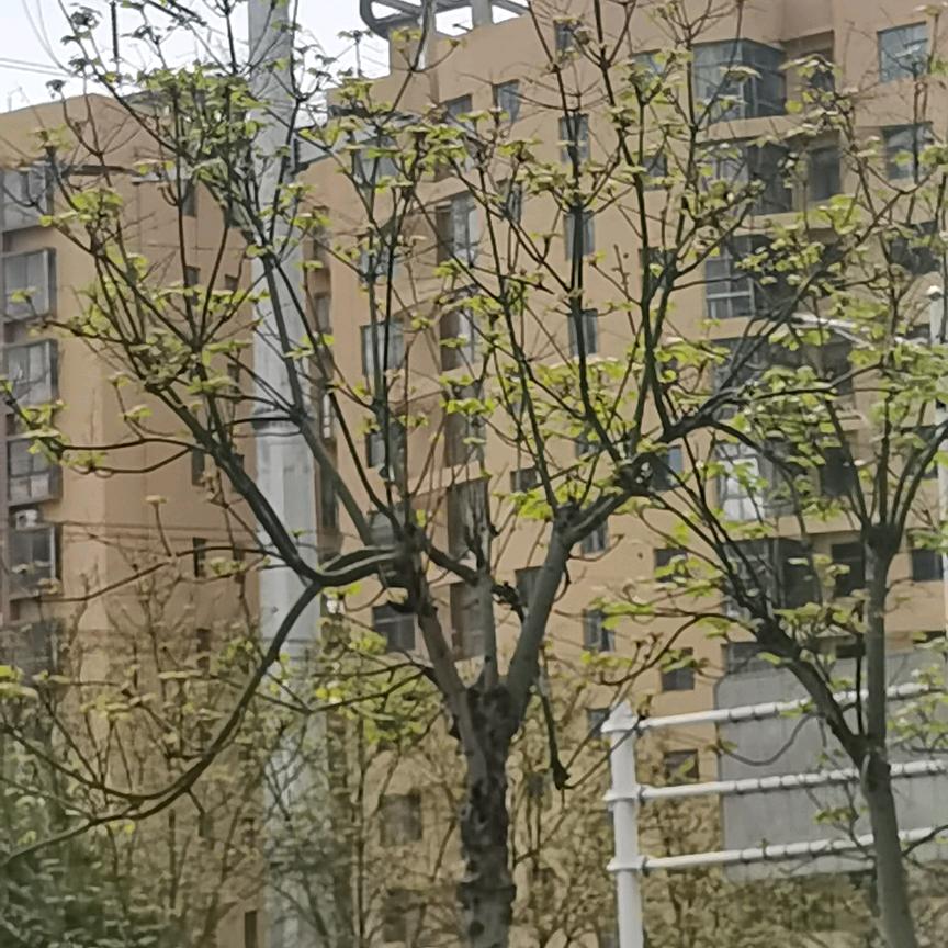 暖阳之下
