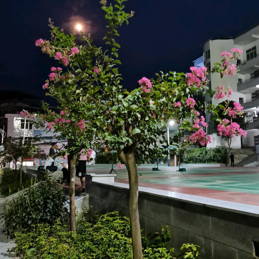 幸福约定