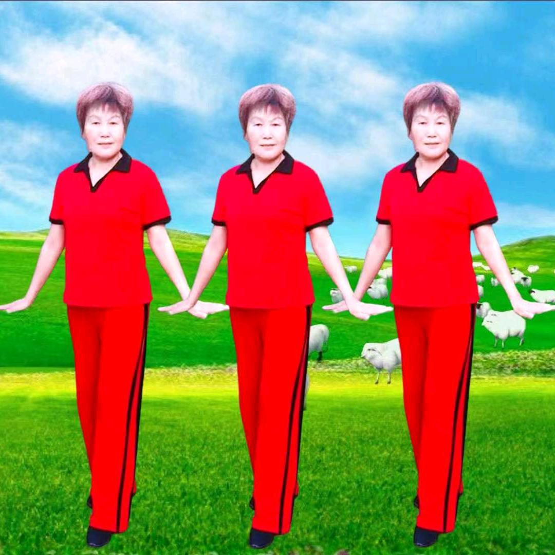 阳光海丰梅子广场舞