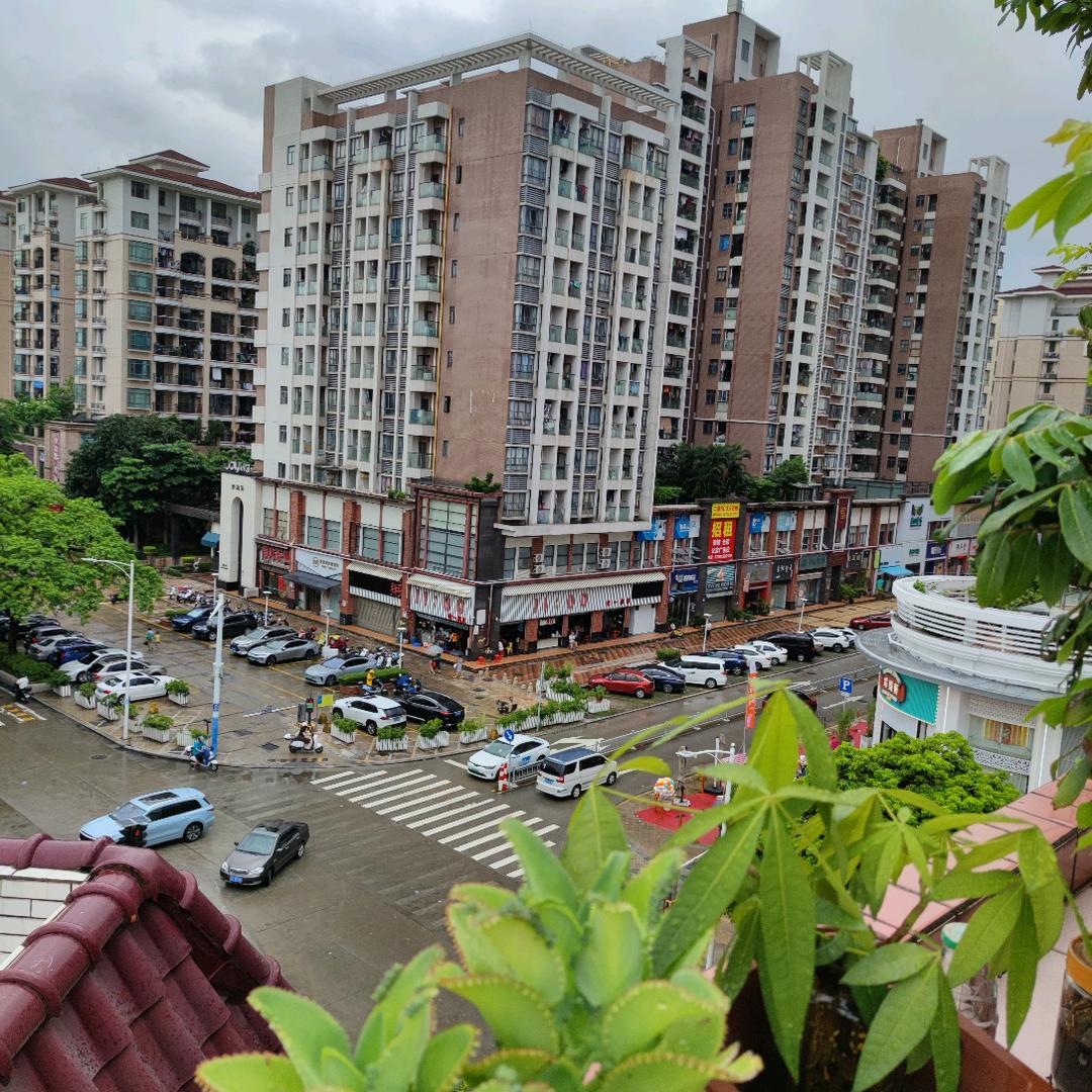 霸王