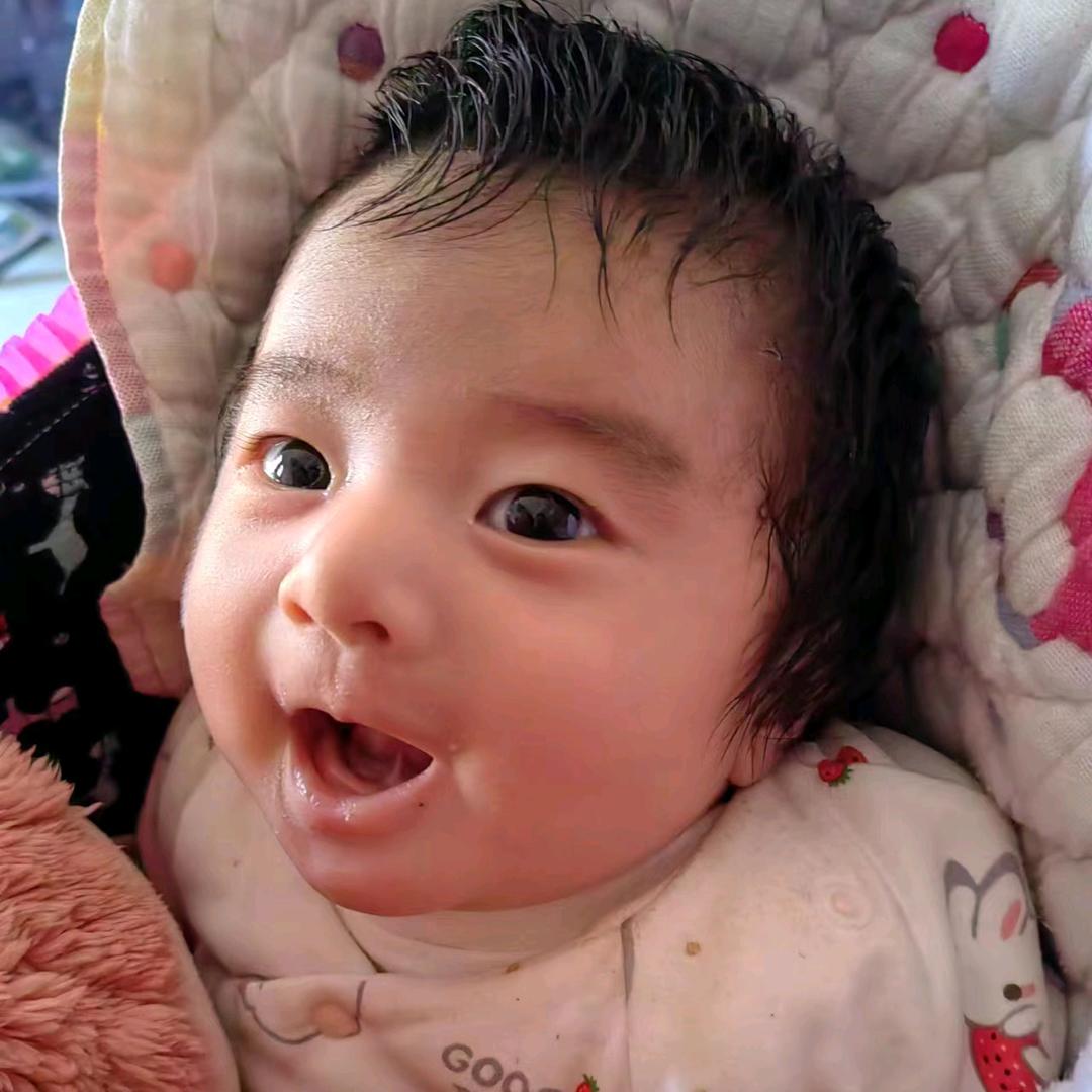 小云鹤。  