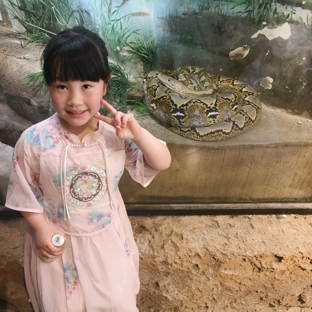 西西爸