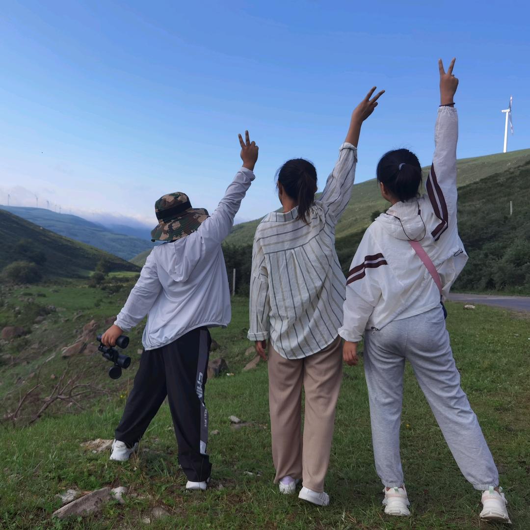 我家有俩胡涂豆