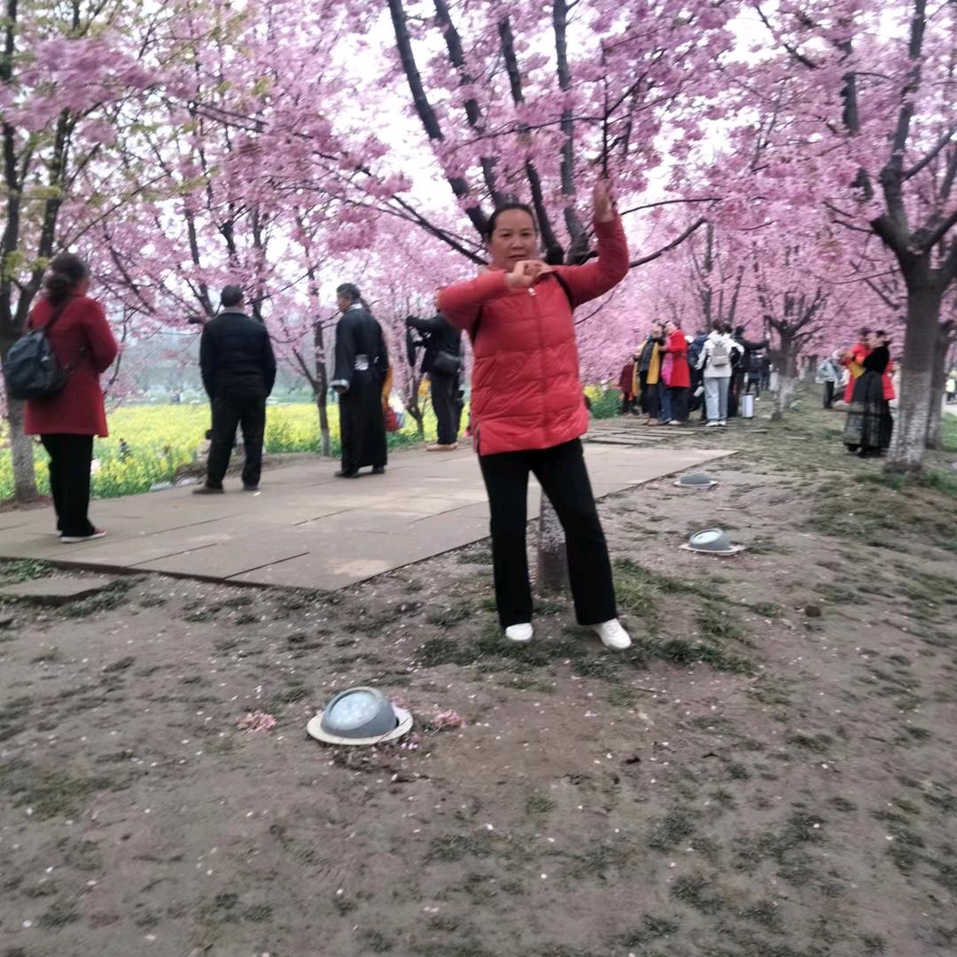 用户2183041799789高姐姐