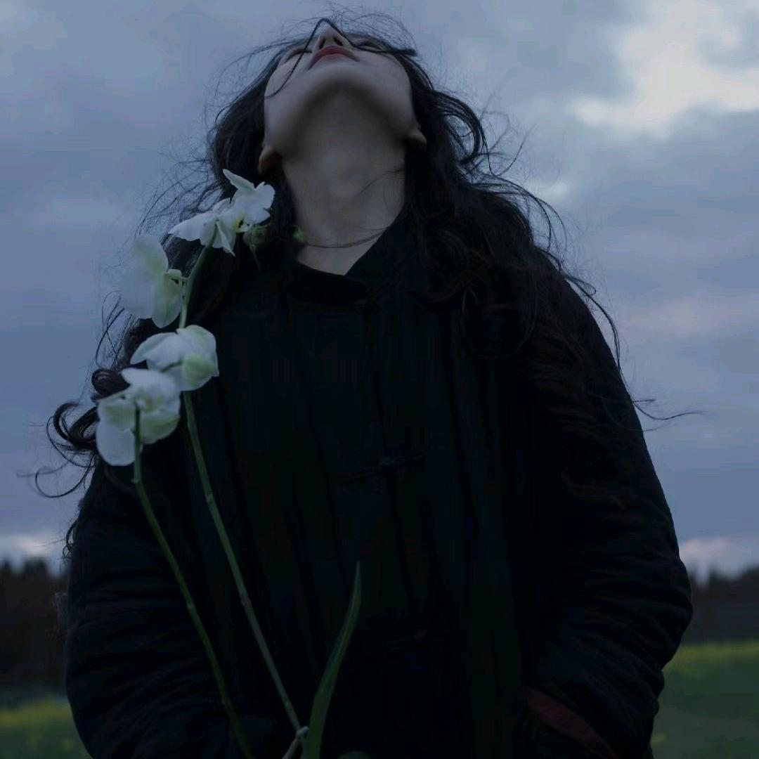 今天会画卧槽吗