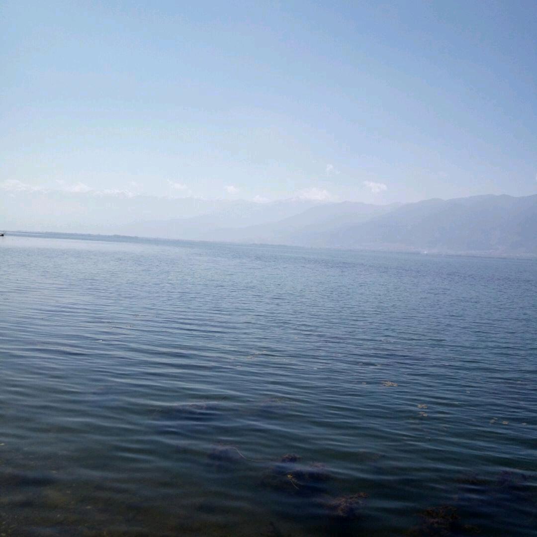 海螺