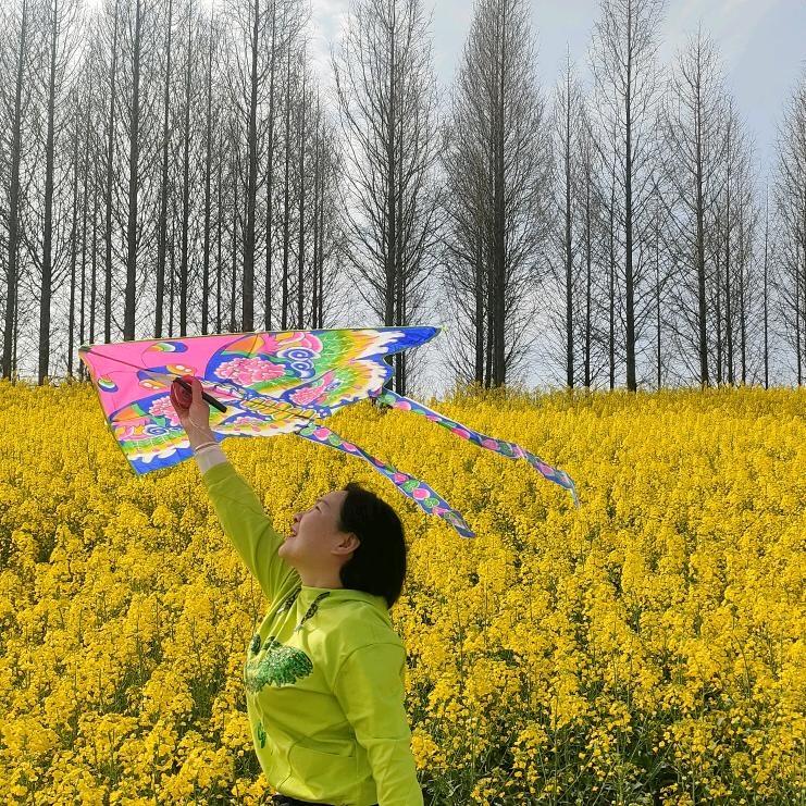 骑鲸便可追飞仙