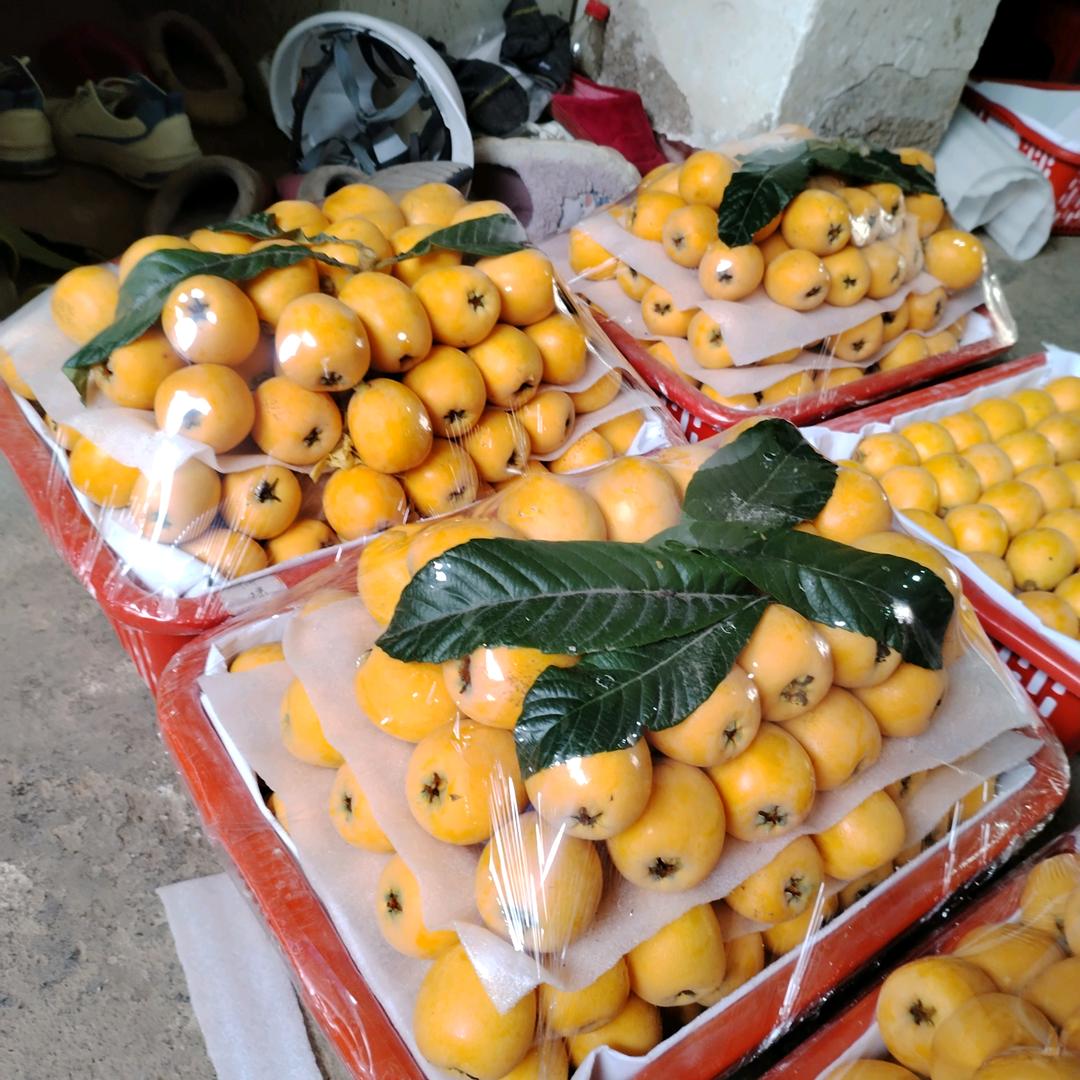 三寸旧城