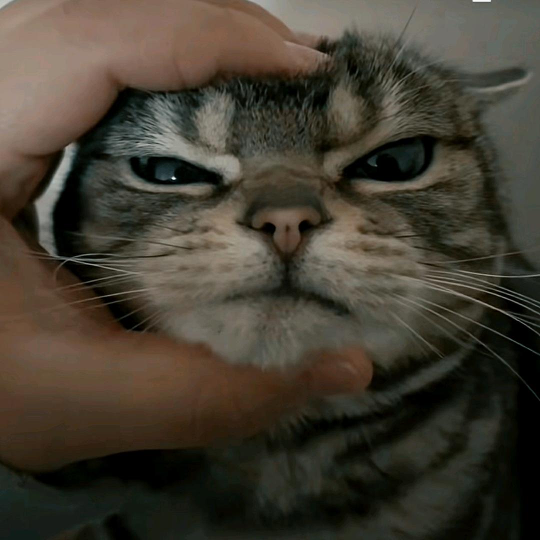 野蛮生长ing