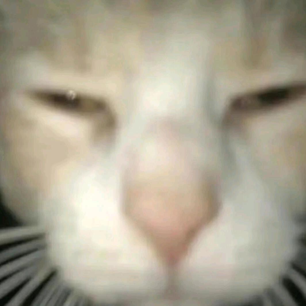 10.