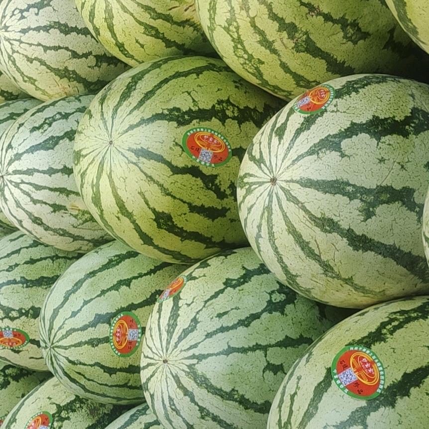 甘肃宁夏西瓜苹果代办代发