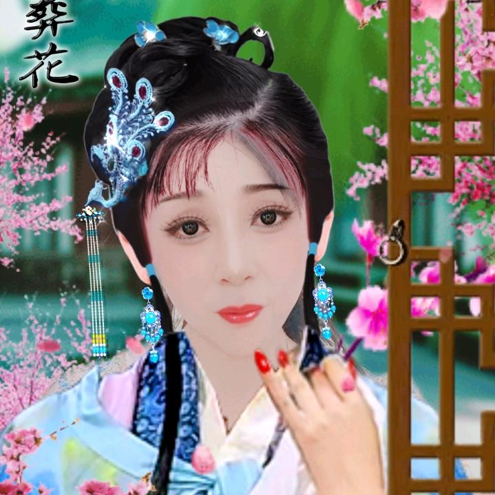潇湘妃子（拒私聊）