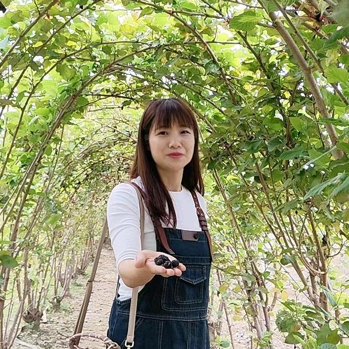杨气包