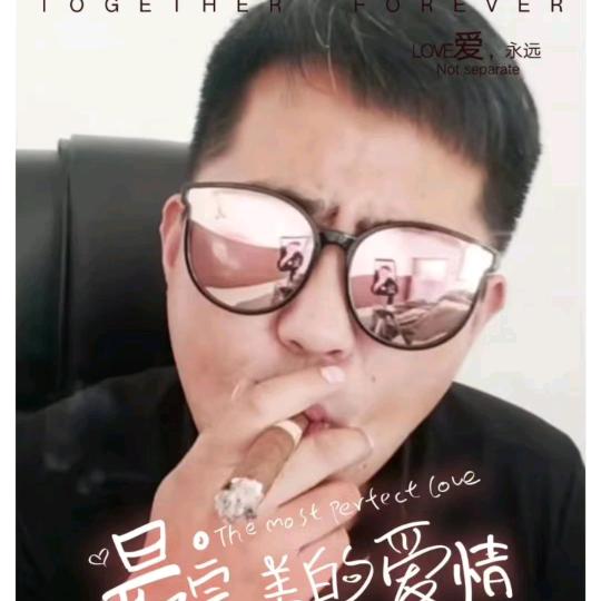 一代狼宠物小铺