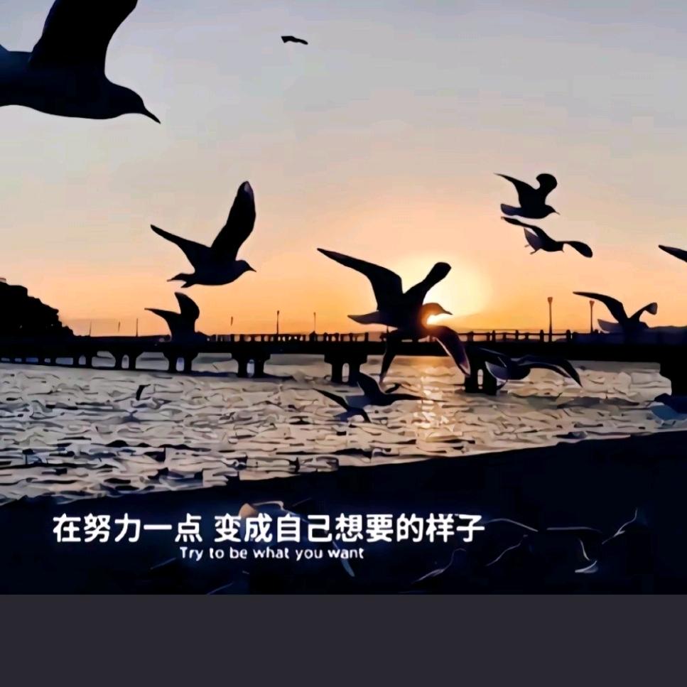 ༊ღ᭄張ꦿ先生꧔ꦿএ᭄💕