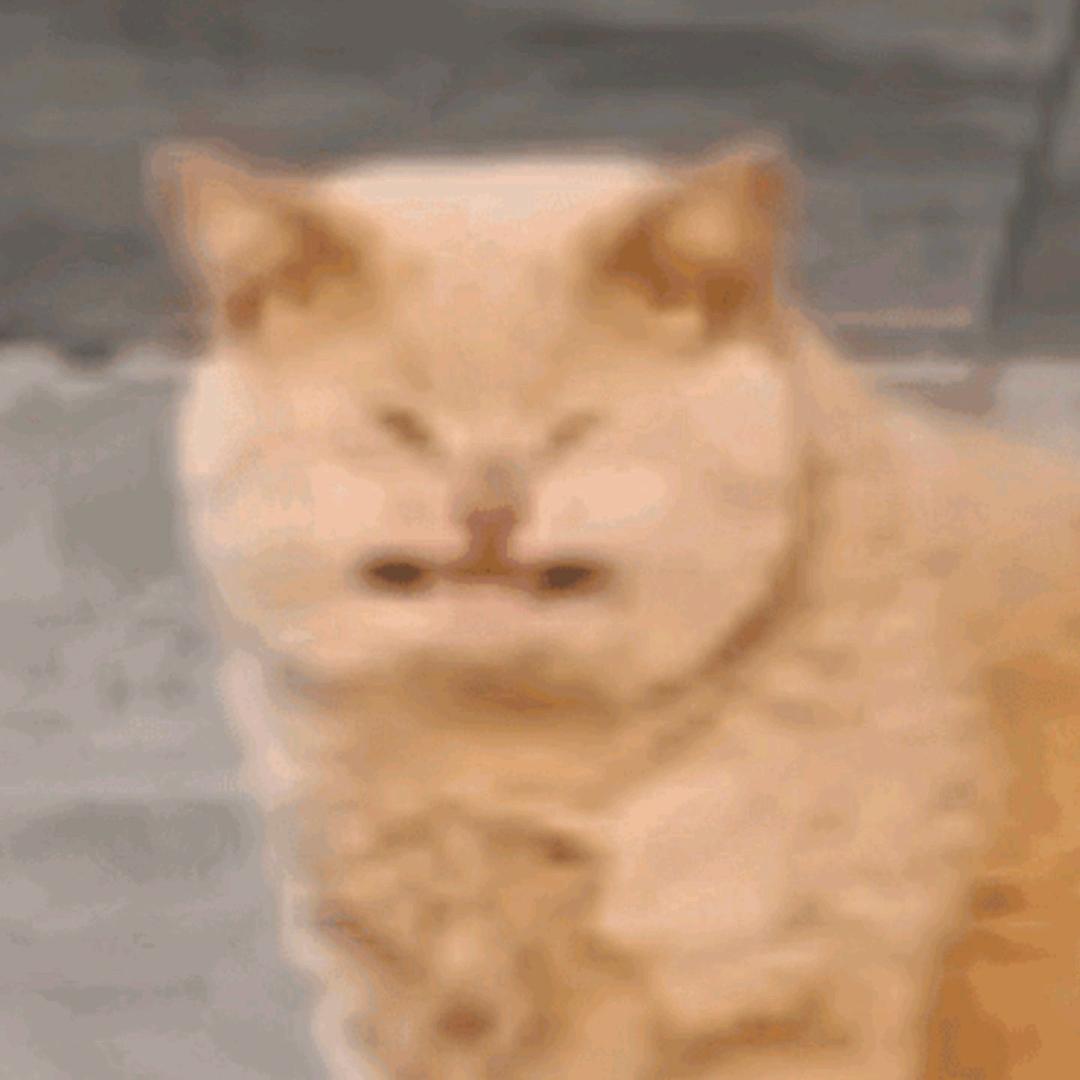朵拉不是哆来咪