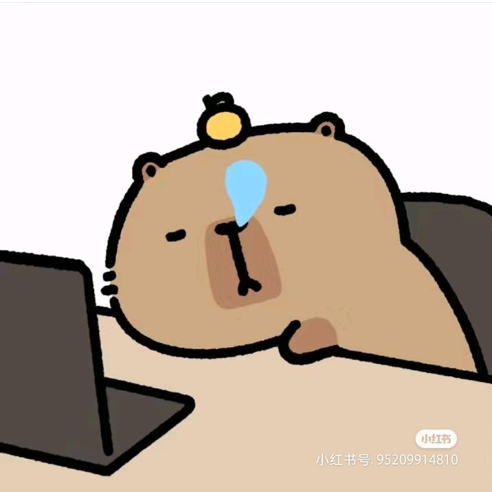 小茂胖不了