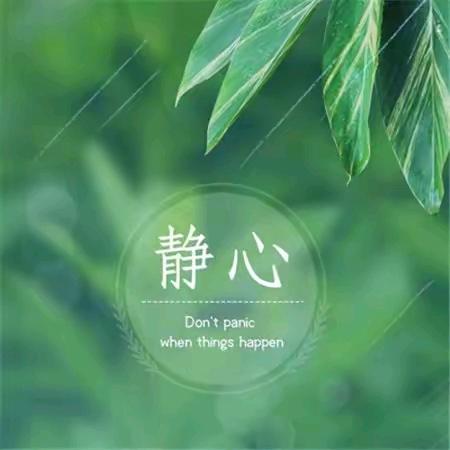 一路生花.