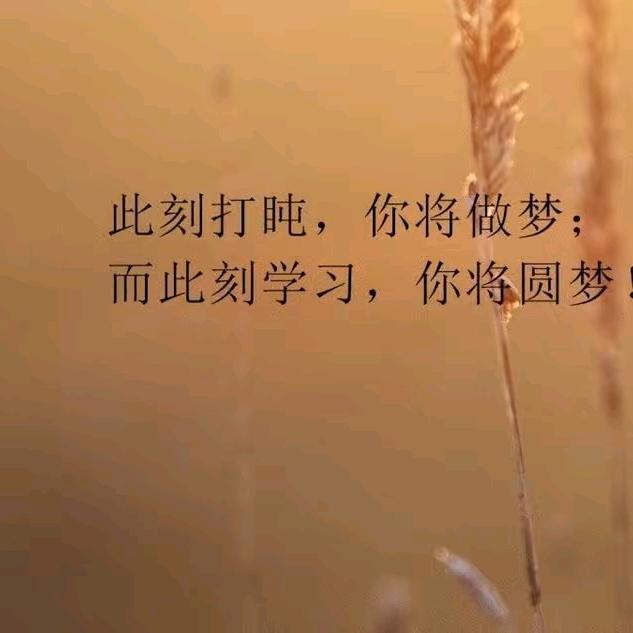 秀秀886