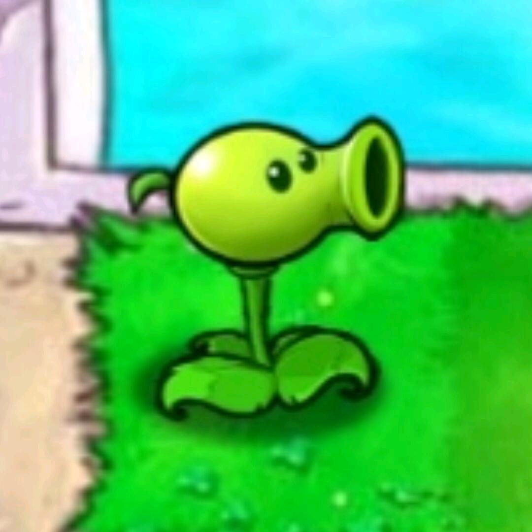 还有一天就放假了