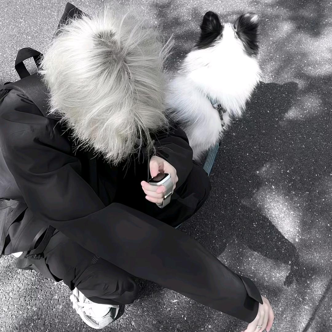 1⃣️起看日落