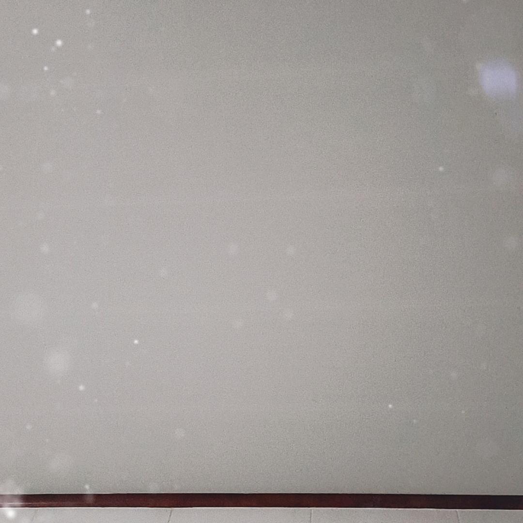 《戏迷赵哥》