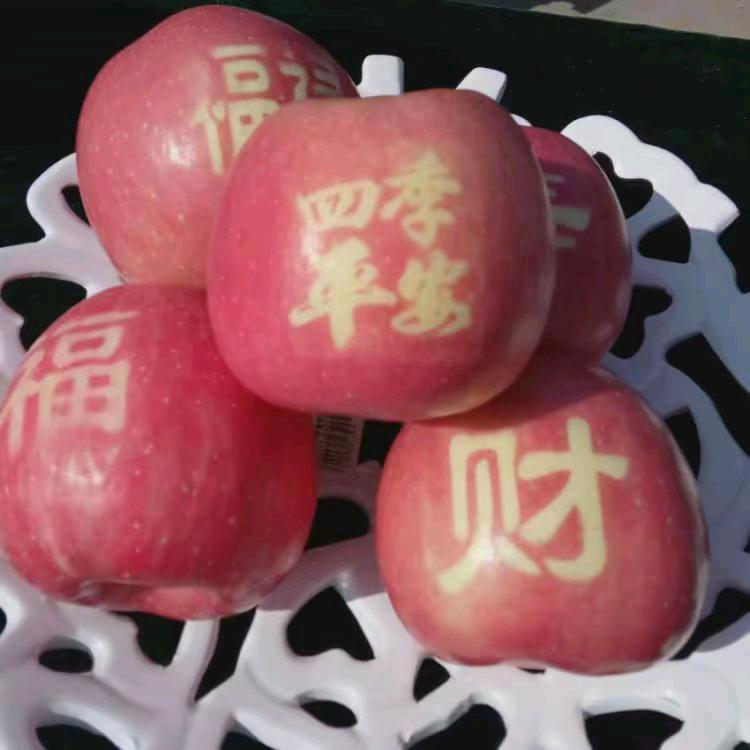 陕甘果业